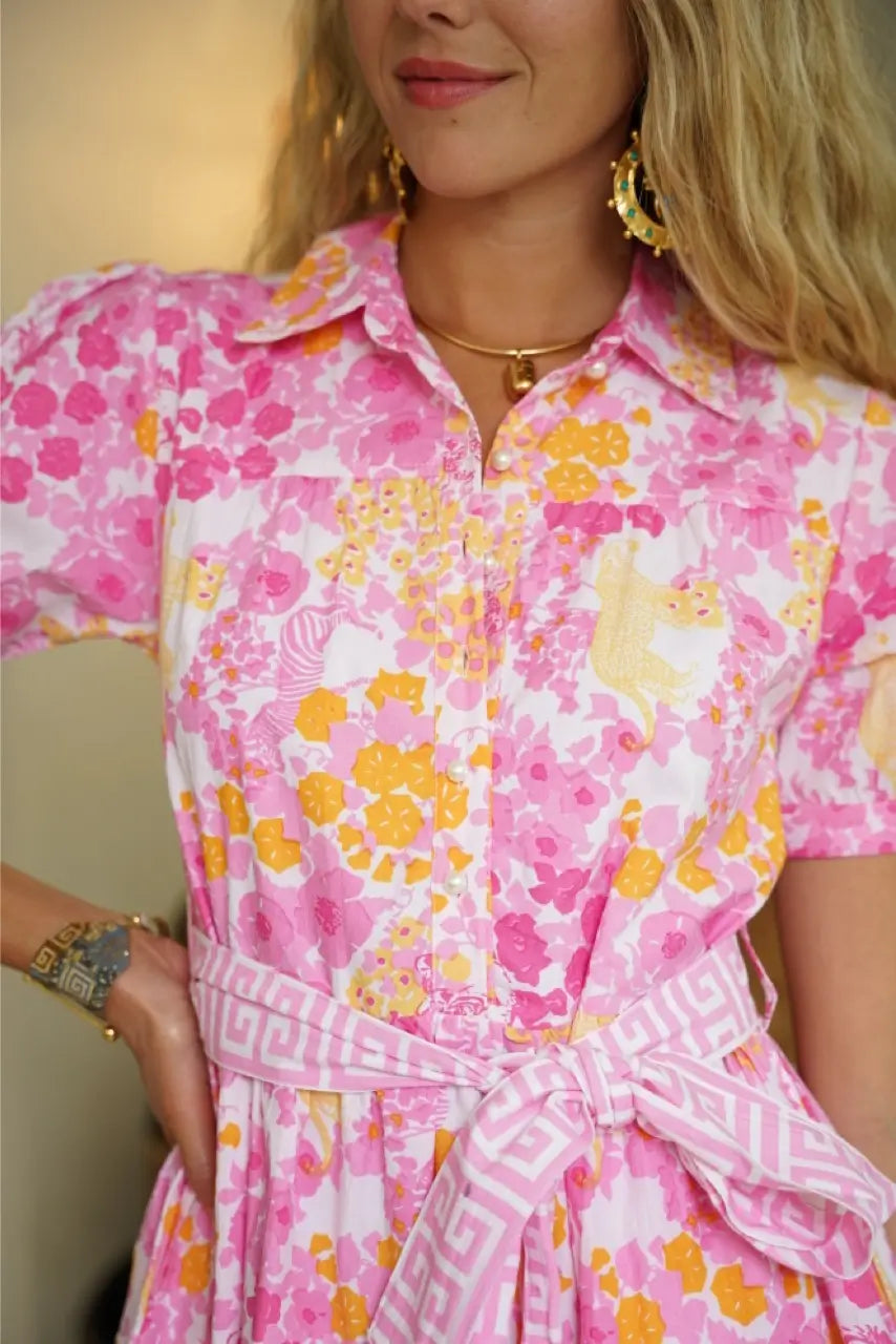 Delray Dress Brazil Pink